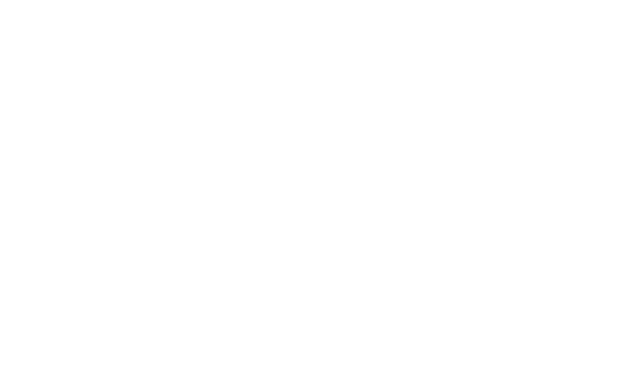 Erhart Aviation Services logo